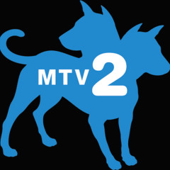 music television 2