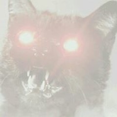 Cody Joseph Singleton