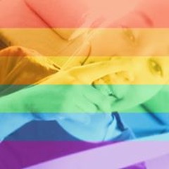 Taylor Babybear Williams