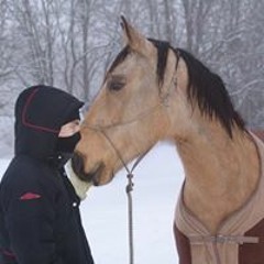 Patrick Andreas Larsen