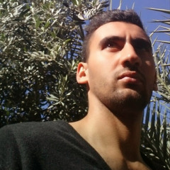 Mohammad Amin Sofi