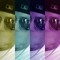 NicknAge