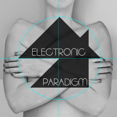 Electronic Paradigm