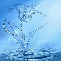 Natalija Velickovska