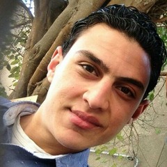 ahmed selem