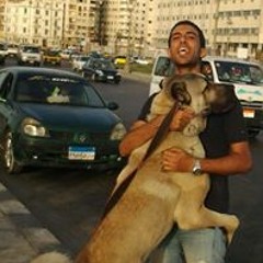 Walid yousef