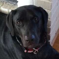 Matthew McConaugheys Life Advice Will Change Your Future (MUST WATCH) Motivational Speech 2018 - 2