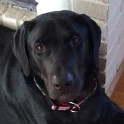 Matthew McConaugheys Life Advice Will Change Your Future (MUST WATCH) Motivational Speech 2018 - 2