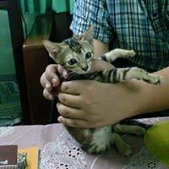 Min Khant
