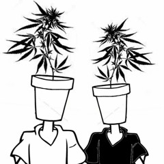 Urban Hippie & Paradox