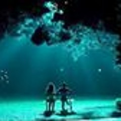 user218809255