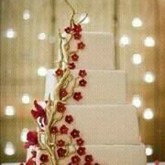 Naden Mamdoh Rabia