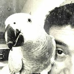 Ismael Henriquez Jorquera