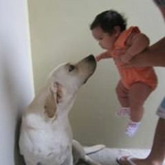 Cesar Ochoa Castañeda