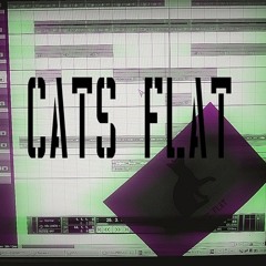 Cats Flat