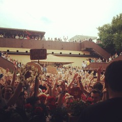 Jersch T 1