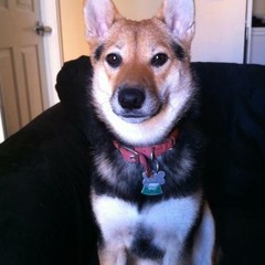 Michael Rusten Gabriel