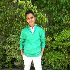 Amir Gerges