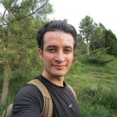rasoul gaffary