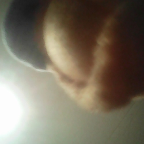 blob