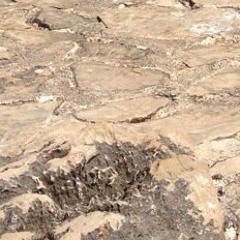 Stone Age Jack