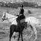 Elmira Homayounfar