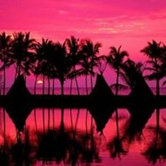 Savannah Leigh Brown