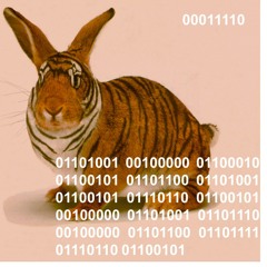 Pavlos Marios Ktoridis