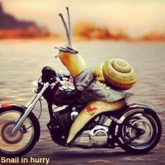 SNUILS