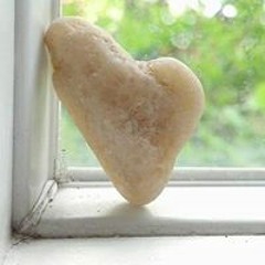 Emily Buttarazzi Hall