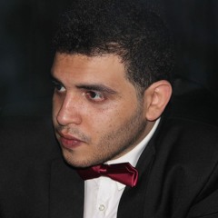 Hossam L Din Mostafa