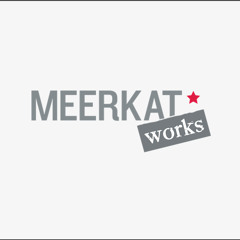MEERKATworks
