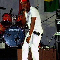 De-mo Mice Reggae Artist