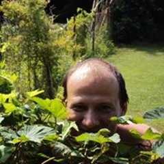 Szabó Dániel
