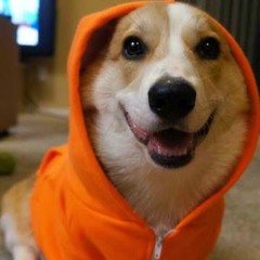 187