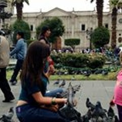 Pame Rojas Jáuregui