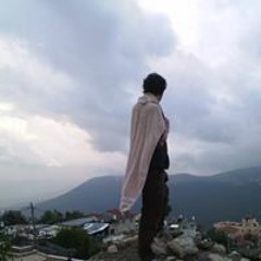 Boomy Boomko'enig Bovit