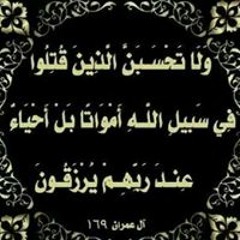 Mohammed Magdy Eissa