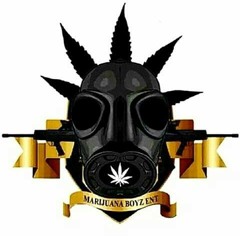 marijuanaboyz music