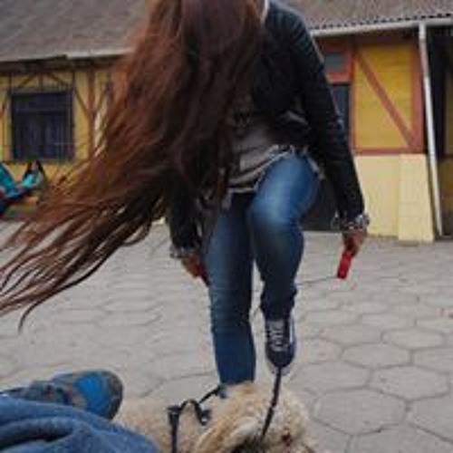 Camila Valenzuela Opazo’s avatar