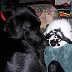 Christina Sagstetter