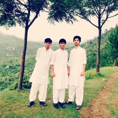 Moaz Waseem