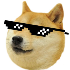 MlgxDoge