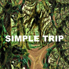 Simple Trip
