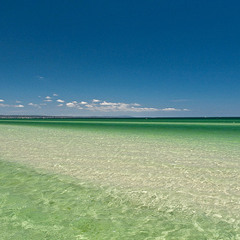 AdAsteris:Dreaming365VIII