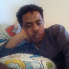dawit shilan