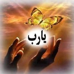 محمود لبيايليبلسيسي