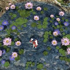 Deborah Vittoria Bernardi