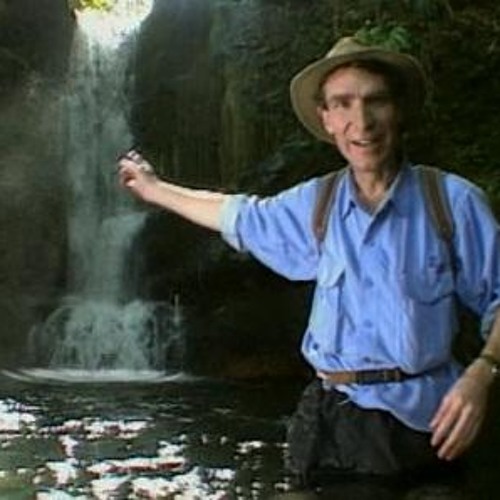 Stream Pokemon Red, Yellow, Blue Battle Music Trainer by User