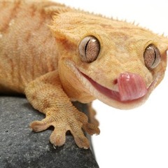 guc